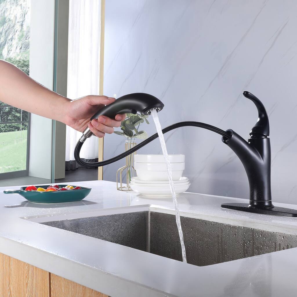 Modern 4-Mode Kitchen Faucet Pull-out with Deck Plate