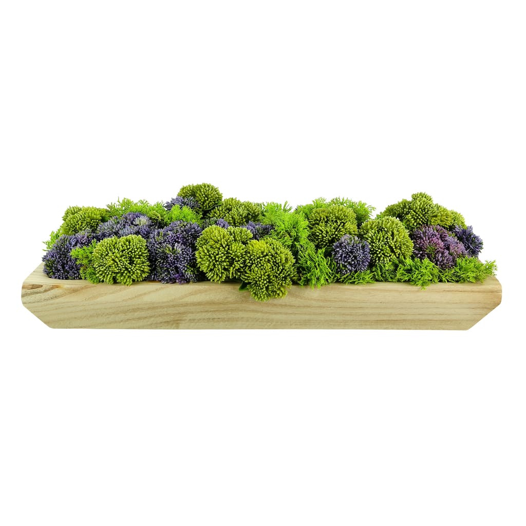 Sedum and Moss Arranged in Wood Planter - Purple, Green