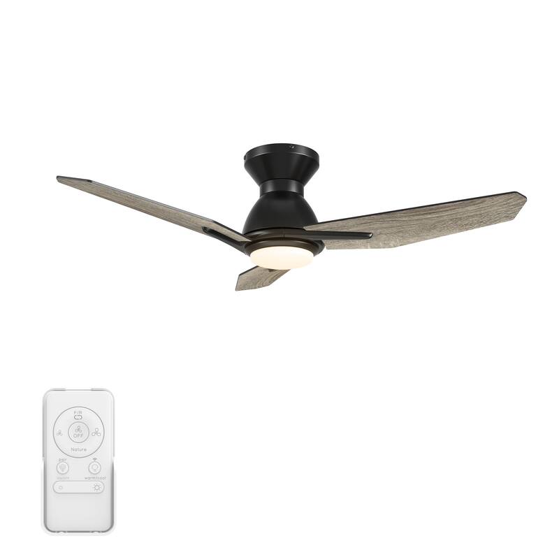 CARRO Jaiden 52" 3- Blade Smart Ceiling Fan with LED Light and Remote Control