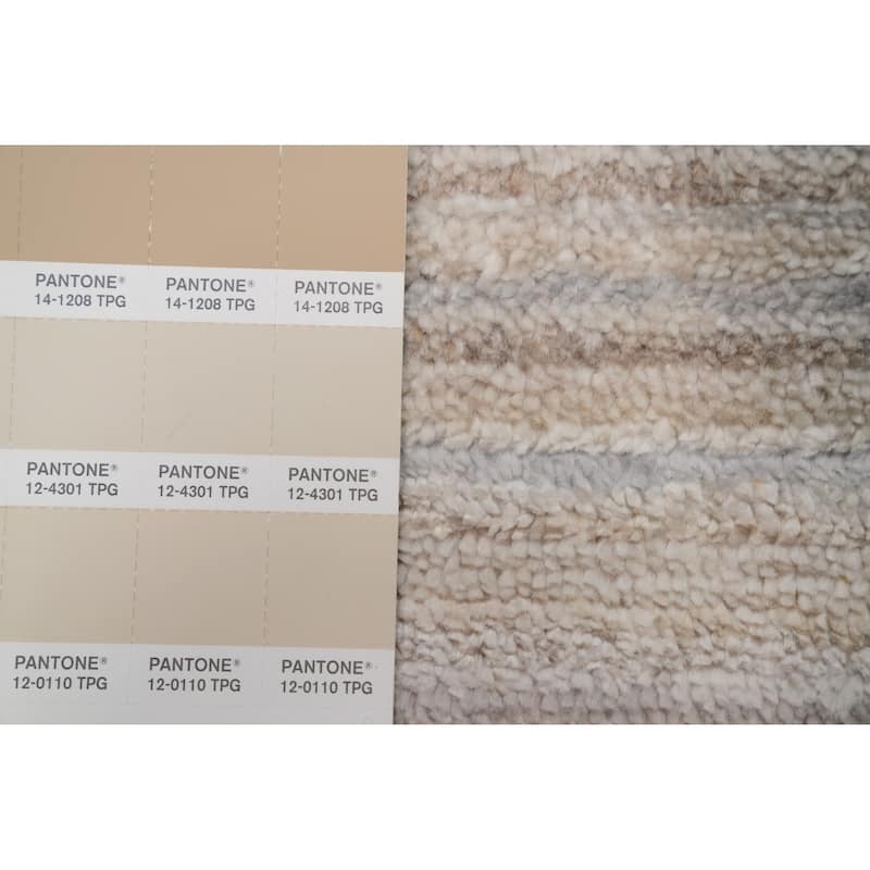 Hand Knotted Oriental Viscose Silk Carpet Tribal Animal Pictorial Beige & Ivories Gabbeh Area Rug - 9' 10'' X 10' 2''