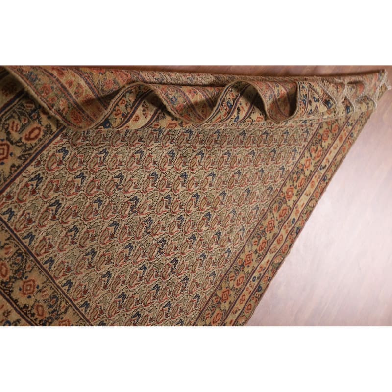 Pre-1900 Antique Afshar Persian Area Rug Vegetable Dye Wool Carpet - 4'0"x 6'1"
