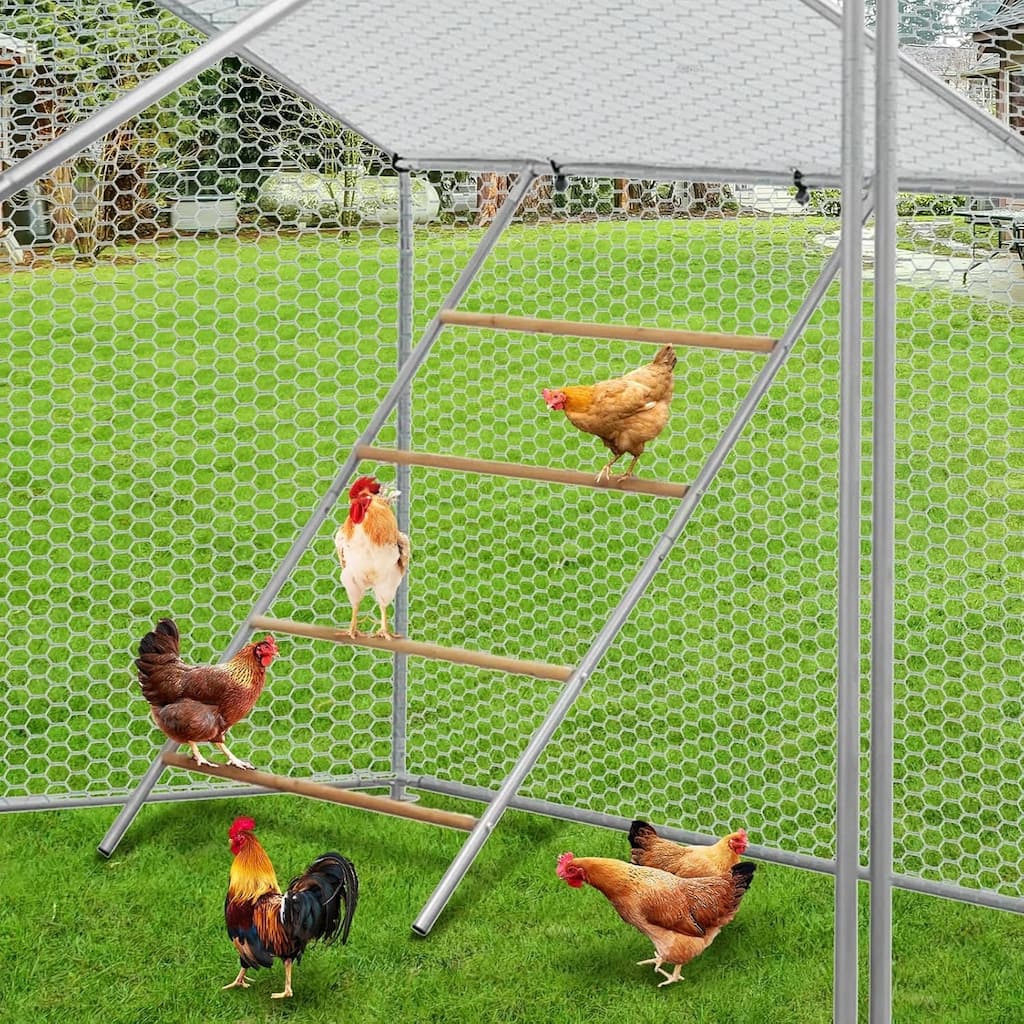 Chickens Roosting Bars for Coop
