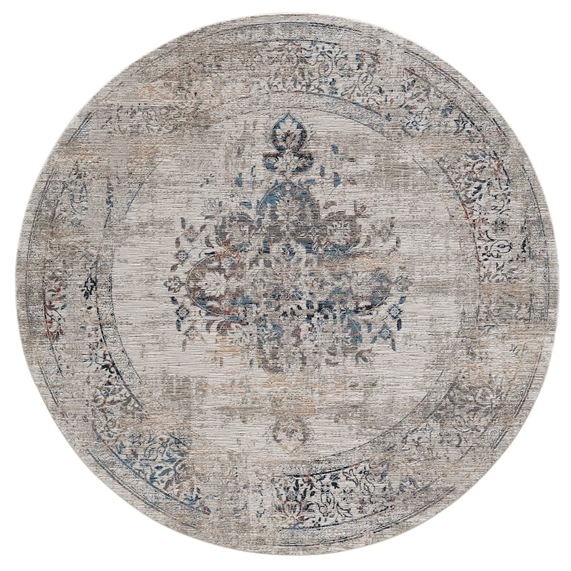 Domani Craze Tranditional & Distressed Area Rug