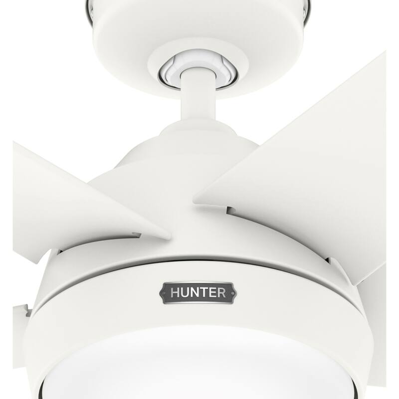 Hunter 52" Skyflow Outdoor Ceiling Fan w/ LED Light Kit, Wall Control - Coastal Modern Contemporary - WeatherMax - WET-RATED!
