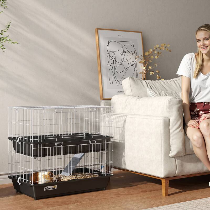 PawHut 2-Tier Guinea Pig Cage, Ferret Cage, Chinchilla Cage, Small Animal Cage Indoor with Dish and Bottle, 2 Doors