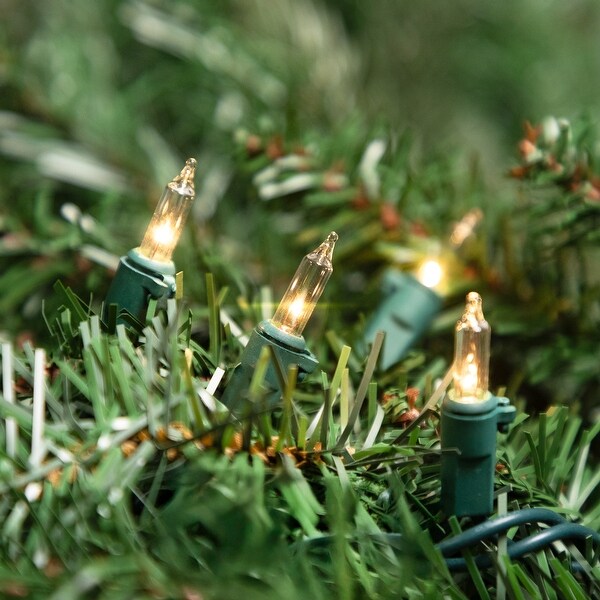Mini christmas lights 100 count online