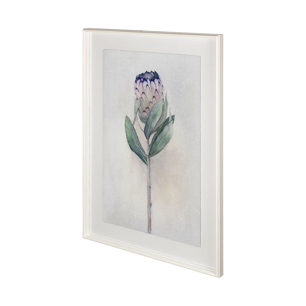 Sugarbush I Framed Art Print