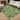 Machine Washable Indoor/ Outdoor Whimsy Critters Chantille Rug