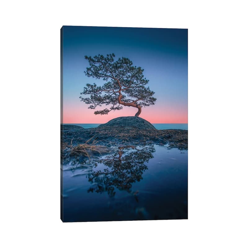 iCanvas "Bonsai II" by Lauri Lohi Canvas Print