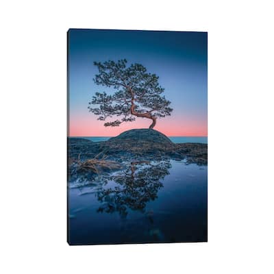 iCanvas "Bonsai II" by Lauri Lohi Canvas Print