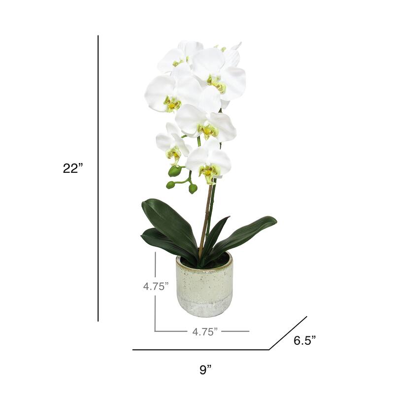 White Artificial Phalaenopsis Orchid Flower Arrangement in Half Glazed Ceramic Pot 22in - 22" H x 9" W x 6.5" DP