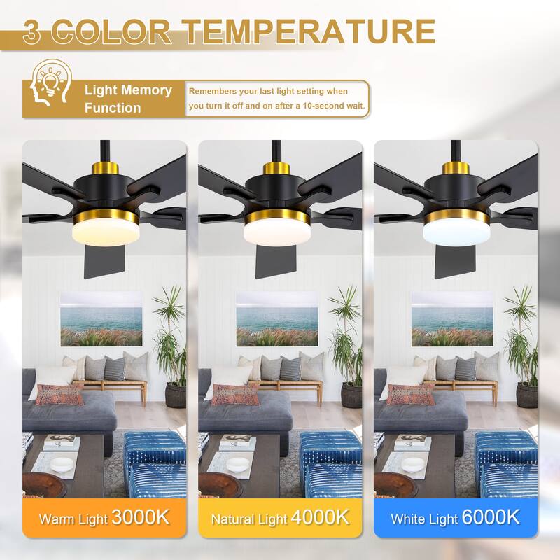 Cusp Barn 52" Modern Ceiling Fan with Light and Remote, Farmhouse Black 6 Speeds Reversible DC Motor Ceiling Fan for Bedroom
