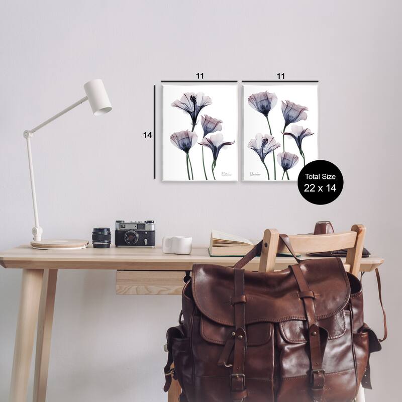 Stupell Bountiful Dusk Lilies Wall Plaque Art Design By Albert Koetsier (Set of 2)