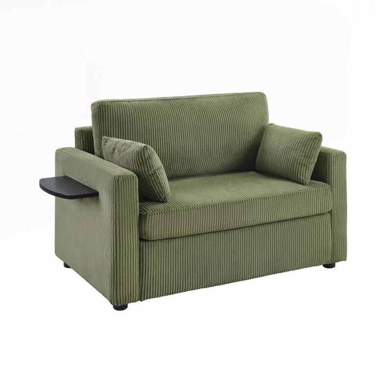 Sleeper Sofa Loveseat Sofa with a Foldable Mattress and Storage Pocket and Two USB Ports - 2 Seat