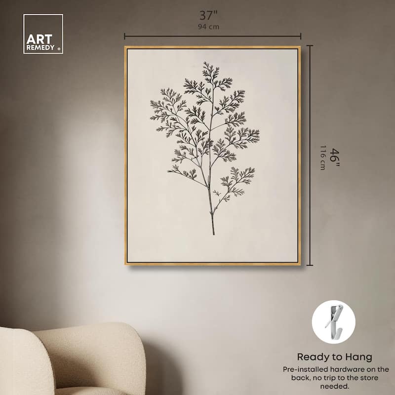 Aniseed Anatomy II Canvas Delicate Floral by Art Remedy