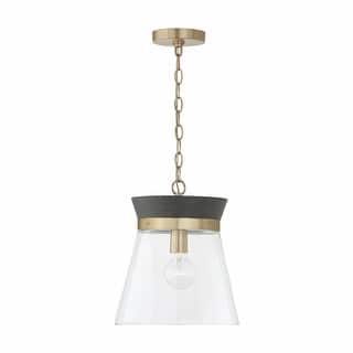 Finn 1-light Pendant w/ Clear Glass