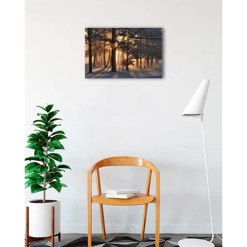 Sunrise in a Snowy Forrest Photography by Wayne Collamore Art Poster - Print On Demand - 18 x 24 Inch