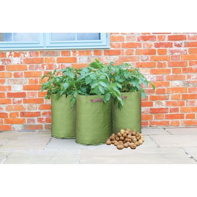 Haxnicks Potato/Tomato Patio Planter 3 pack