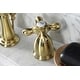preview thumbnail 30 of 40, Heritage 8 in. Widespread Bathroom Faucet