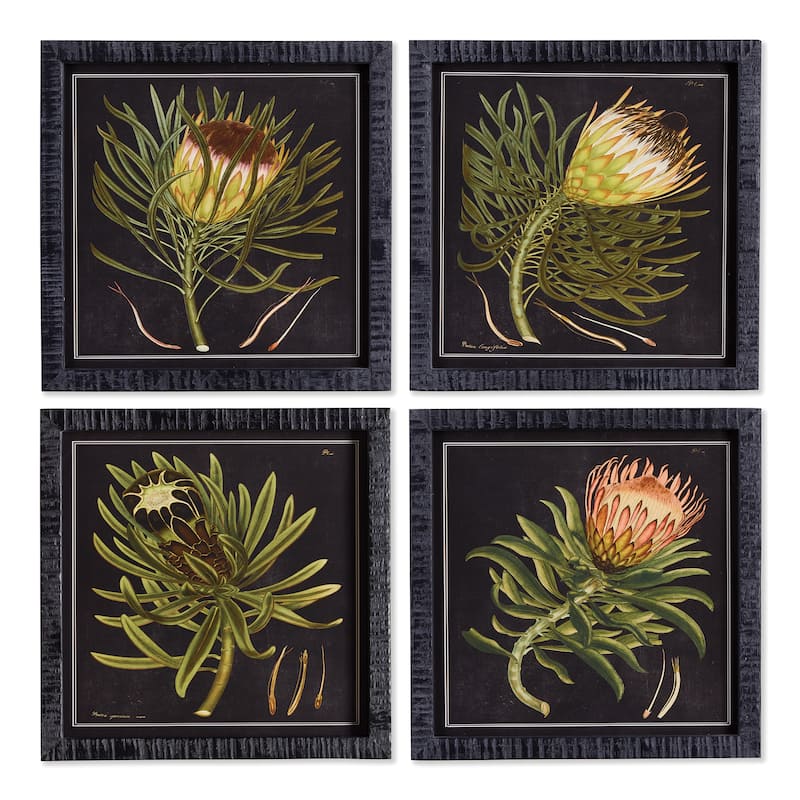 Protea Petite Prints, Set Of 4