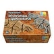 preview thumbnail 2 of 6, Yellow Door Dig and Discover - Triceratops & Spinosaurus - Assorted