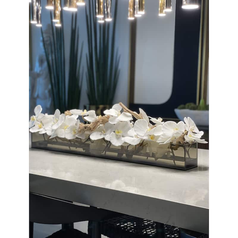 36 Inch Casa Moderna Black Tinted Glass Plate Planter with white Phalaenopsis orchids