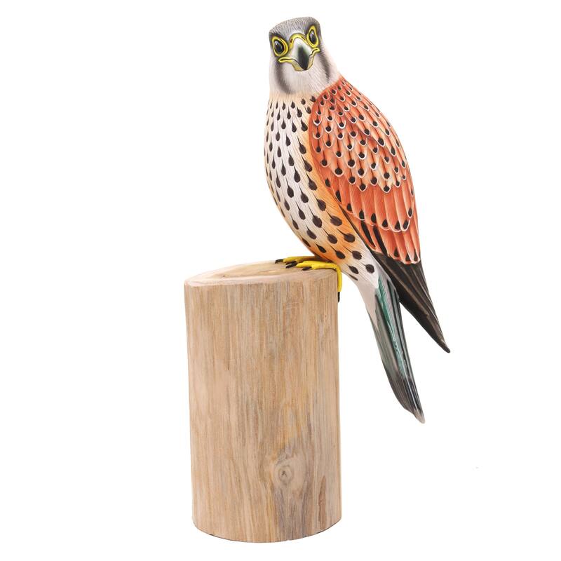 Novica Handmade Common Kestrel Wood Statuette