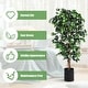 preview thumbnail 8 of 21, Costway 4 Feet/6 Feet Artificial Ficus Silk Tree Wood Trunks Green