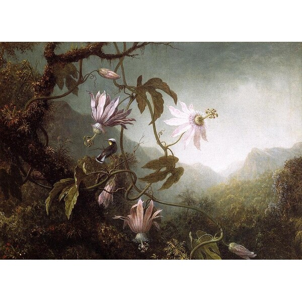 Easy Art Prints Martin Johnson Heade's 'Hummingbird Perched near Passion Flowers' Premium Canvas Art