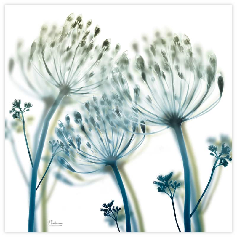 "Unfocused Beauty 2" Frameless Free Floating Tempered Glass Panel Graphic Wall Art