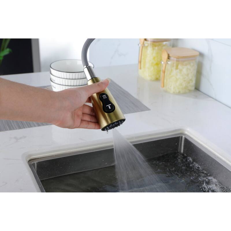 Single Handle Kitchen Sink Faucet with Pull Down Sprayer
