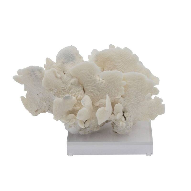 Cactus Coral 10-12 Inch On Acrylic Base