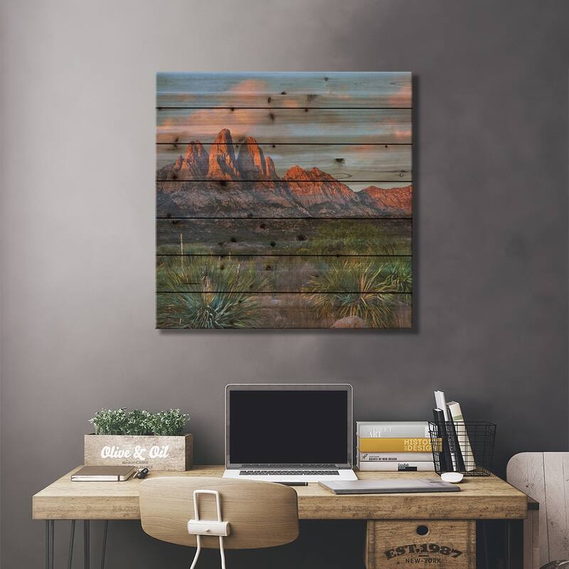 Agave, Organ Mts, Aguirre Spring Nra, New Mexico Print On Wood by Tim Fitzharris - Multi-Color