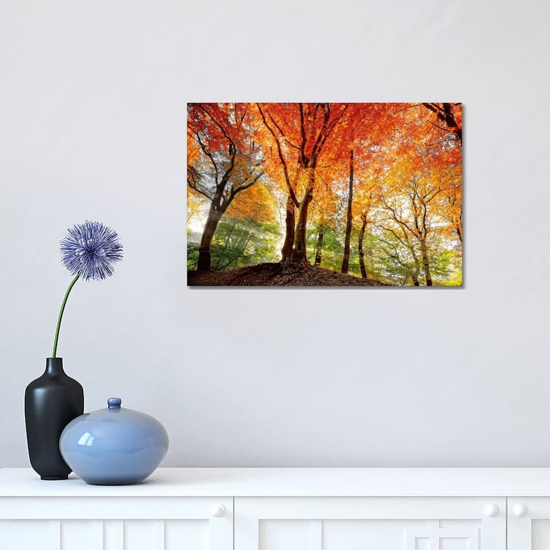 iCanvas "Prism Of Light" by Lars van de Goor Canvas Print - 12x18x1.5