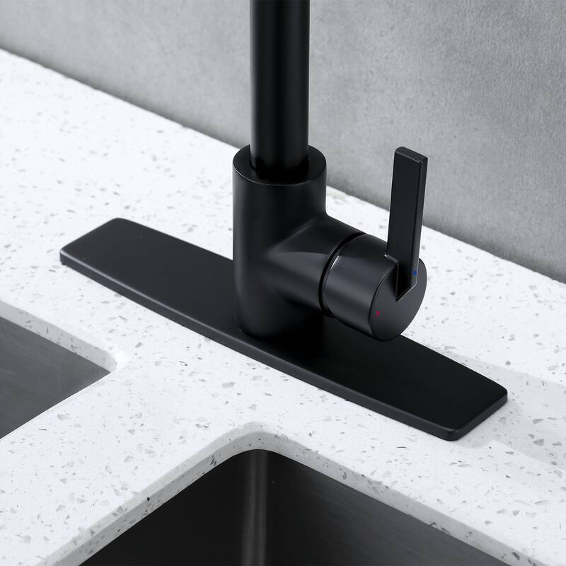 Luxier 10 in. Kitchen Sink Faucet Hole Cover Deck Plate Escutcheon
