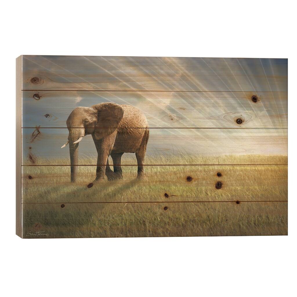 Walk With The Light Print On Wood by Ben Heine - Multi-Color