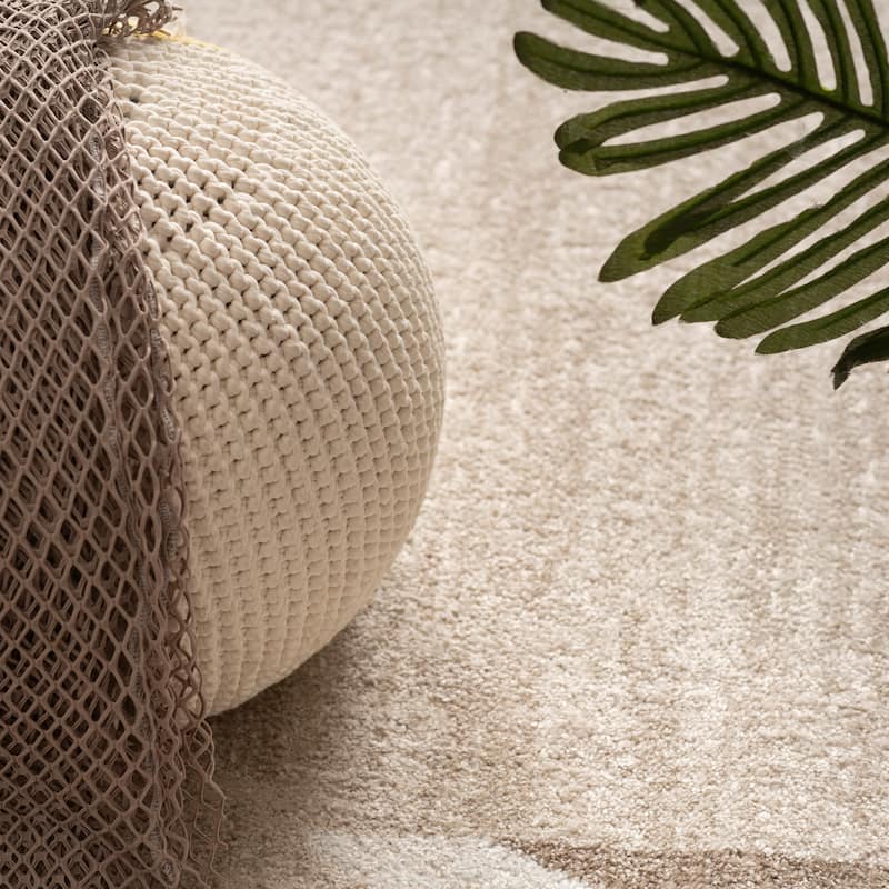 Modern Area Rug for Living Room Classic Design with Border