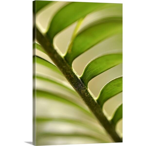 Shop Abstract Leaf Pattern Canvas Wall Art Overstock 16443143