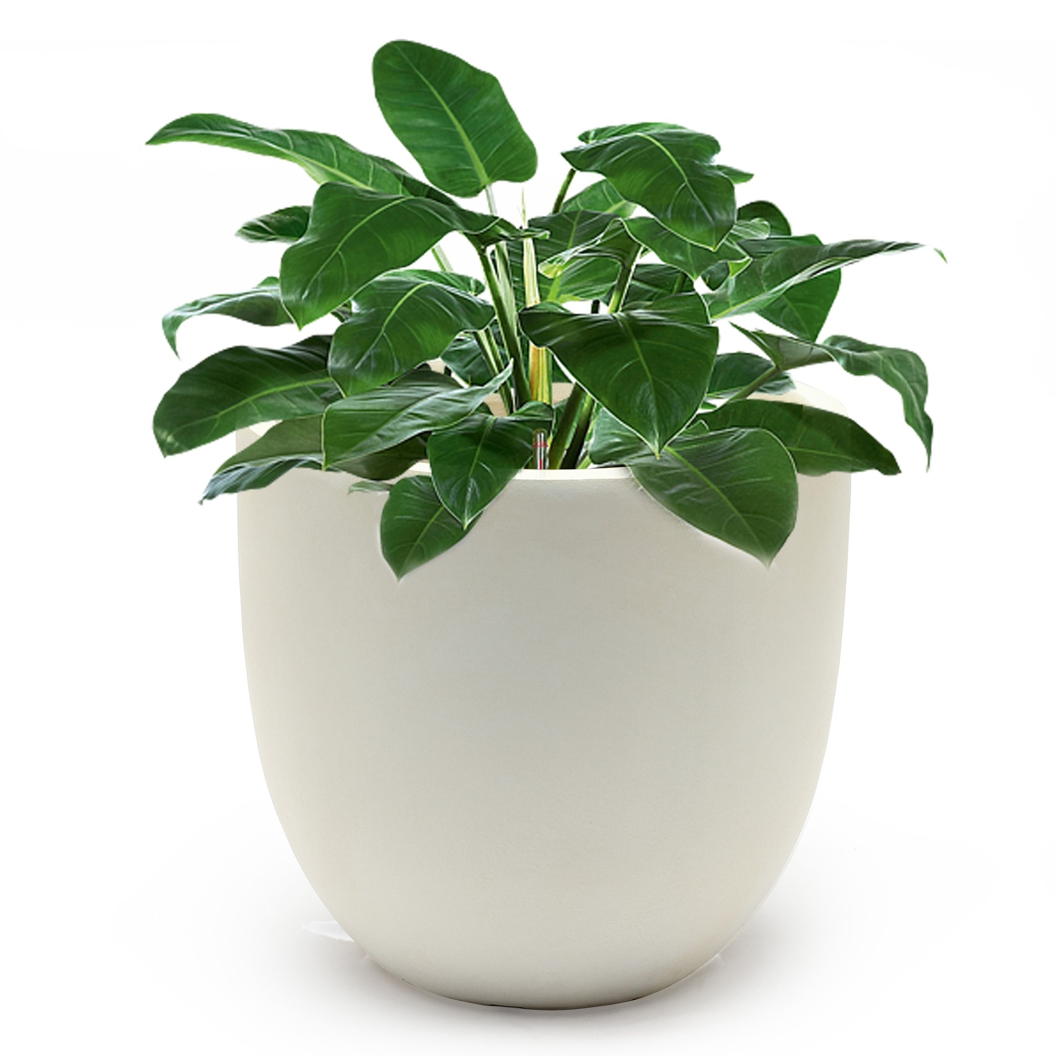 Tapered Round MgO Planter, Indoor and Outdoor - Bed Bath & Beyond - 15004738
