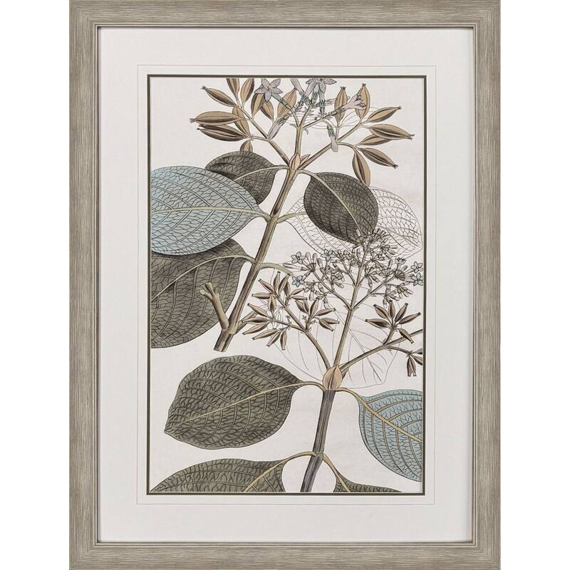 Paragon Flowering Botanical I Framed Art