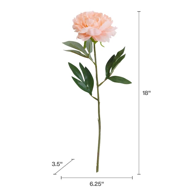 Elements Set of 6 Artificial Blush Peony, 18 Inch - N/A