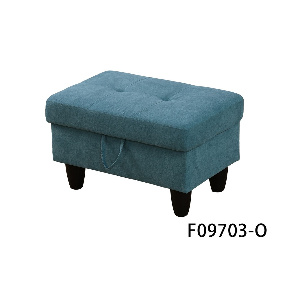 Modern Storage Vevelt Ottoman for Living Room