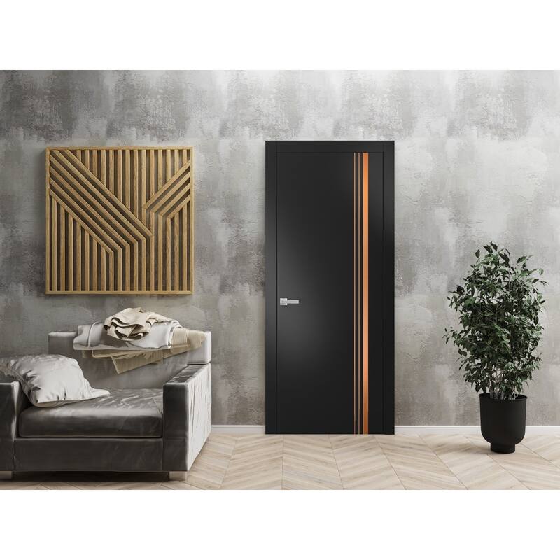 Solid French Door 18 x 80 Planum 1010 Matte Black with| Bathroom
