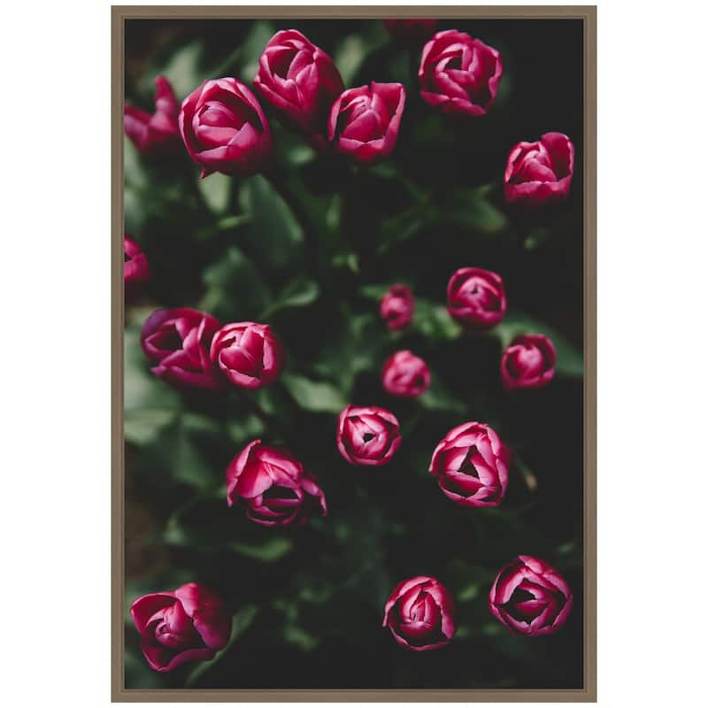 Kate and Laurel Sylvie Moody Dark Pink Tulips in Bloom Framed Canvas by Patricia Hasz of Patricia Rae Photography