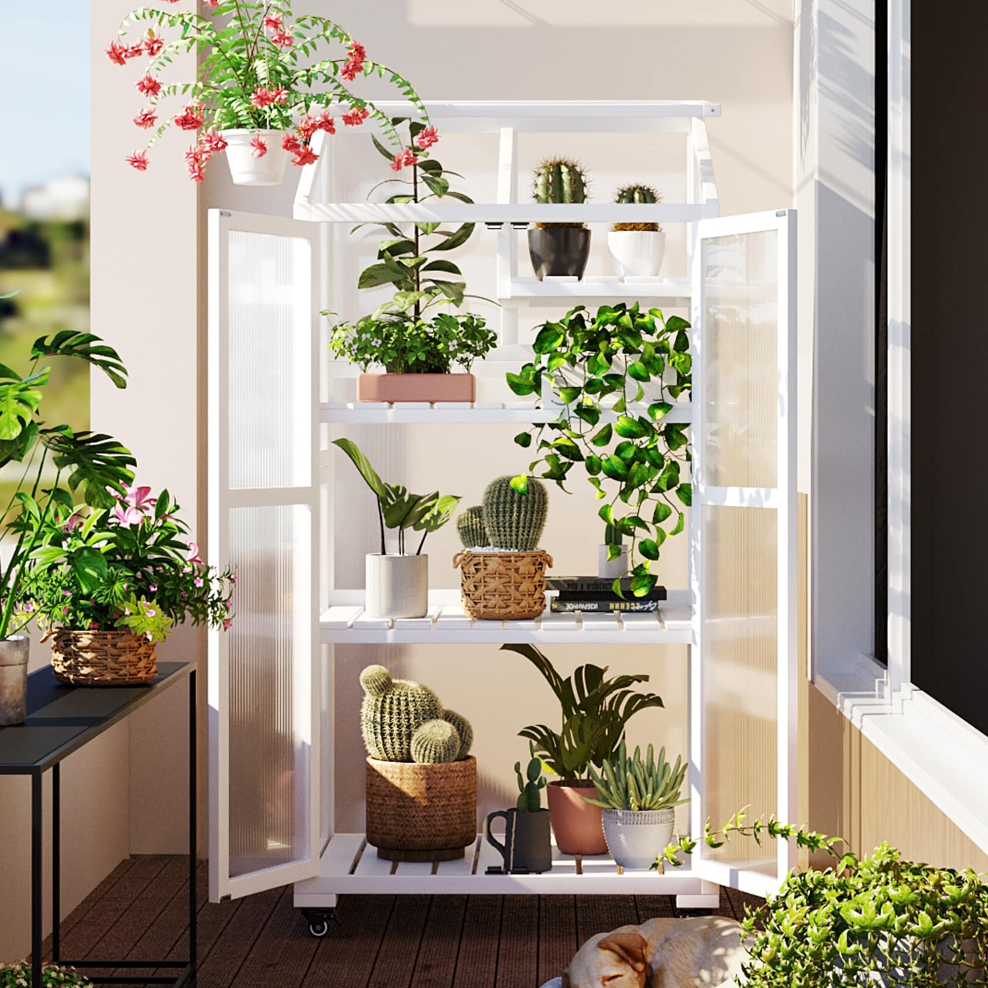 62inch Height Wood Large Greenhouse Balcony Portable Cold Frame with Wheels and Adjustable Shelves for Outdoor Indoor Use