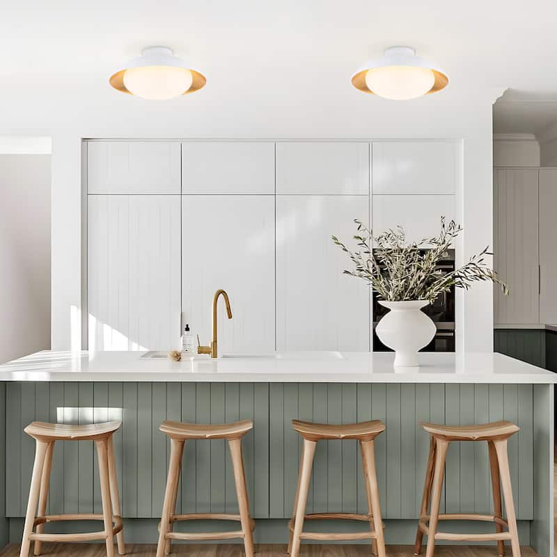 Starsky 1-light 15in. Bowl Ceiling Light Frosted Glass Shade Semi Flush Mount - Black