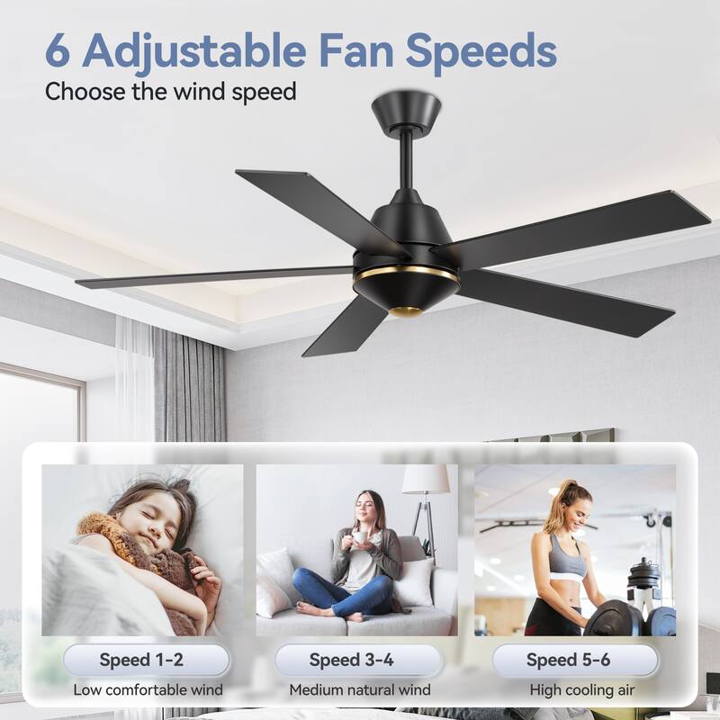 52 Inch 5-Blade BlackGold Ceiling Fan with Remote without Light