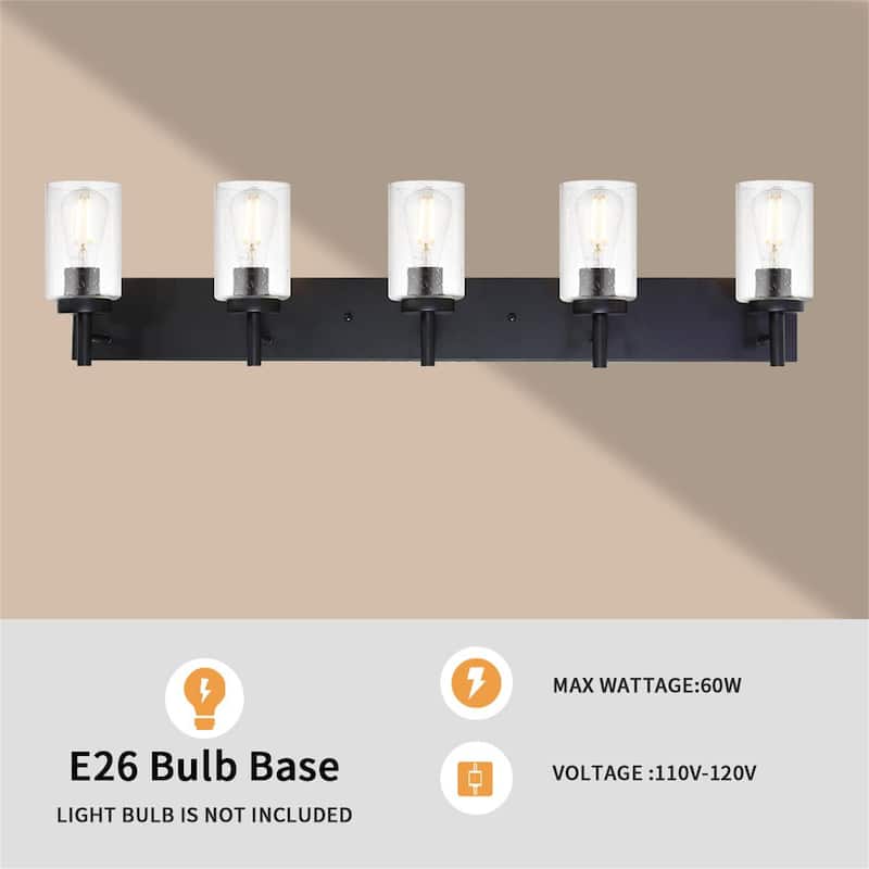 5-Light Black Vanity Light with Seeded Glass Shades
