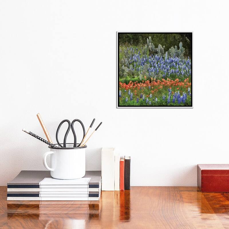 iCanvas "Bluebonnet, Paintbrush Cactus, Texas And Pricky Pear - Horizontal" by Tim Fitzharris Framed Canvas Print