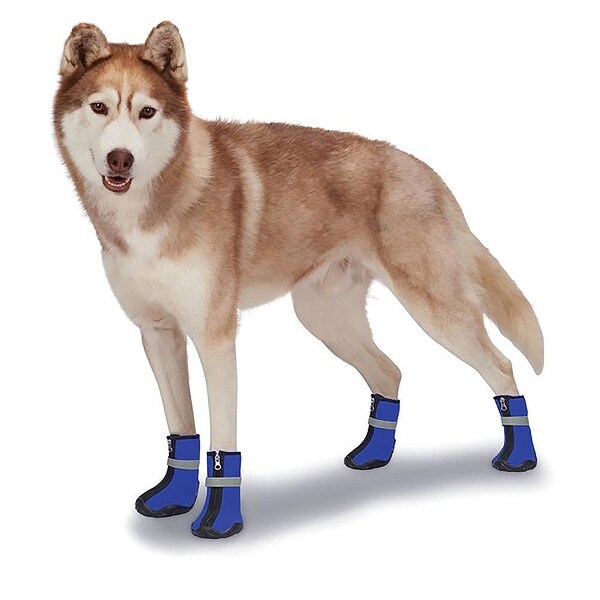 neoprene boots for dogs